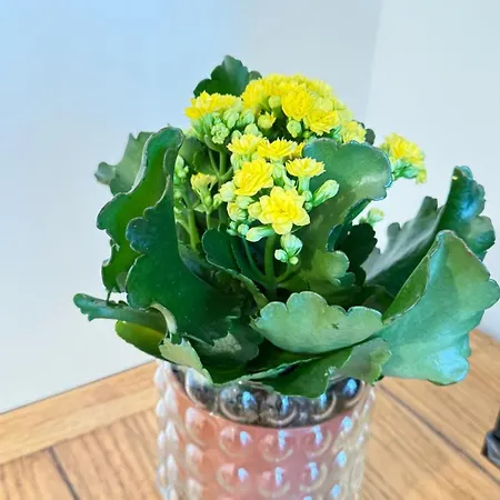 Appartamento Porto Vecchio