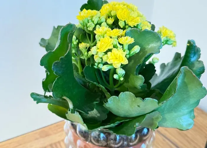 Appartamento Porto Vecchio